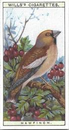 1915 Wills's British Birds #3 Hawfinch Front
