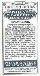 1915 Wills's British Birds #5 Brambling Back