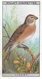 1915 Wills's British Birds #8 Linnet Front