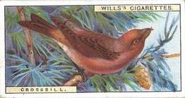 1915 Wills's British Birds #10 Crossbill Front