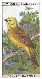 1915 Wills's British Birds #12 Yellow Hammer Front