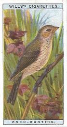 1915 Wills's British Birds #13 Corn-Bunting Front