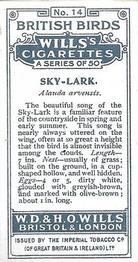 1915 Wills's British Birds #14 Sky-Lark Back
