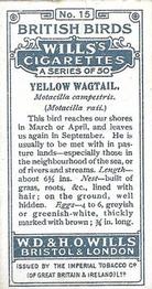 1915 Wills's British Birds #15 Yellow Wagtail Back