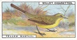 1915 Wills's British Birds #15 Yellow Wagtail Front