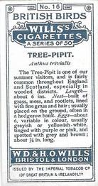 1915 Wills's British Birds #16 Tree-Pipit Back