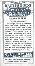 1915 Wills's British Birds #17 Tree-creeper Back