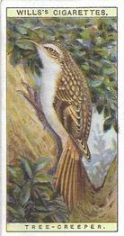 1915 Wills's British Birds #17 Tree-creeper Front