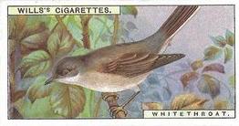 1915 Wills's British Birds #23 Whitethroat Front