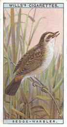 1915 Wills's British Birds #26 Sedge Warbler Front