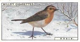 1915 Wills's British Birds #33 Robin Front