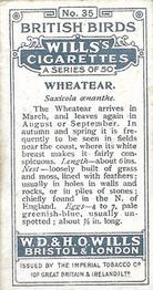1915 Wills's British Birds #35 Wheatear Back