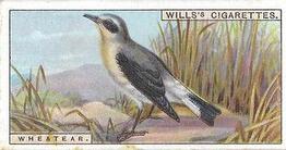 1915 Wills's British Birds #35 Wheatear Front