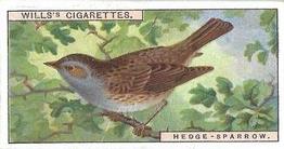 1915 Wills's British Birds #38 Hedge-Sparrow Front
