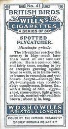 1915 Wills's British Birds #41 Spotted Flycatcher Back