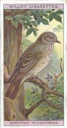 1915 Wills's British Birds #41 Spotted Flycatcher Front