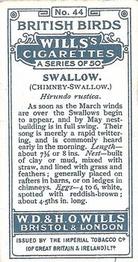 1915 Wills's British Birds #44 Swallow Back