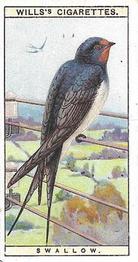 1915 Wills's British Birds #44 Swallow Front