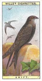 1915 Wills's British Birds #45 Swift Front