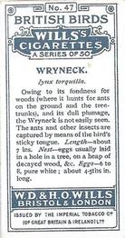 1915 Wills's British Birds #47 Wryneck Back