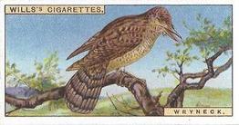 1915 Wills's British Birds #47 Wryneck Front