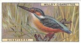 1915 Wills's British Birds #48 Kingfisher Front