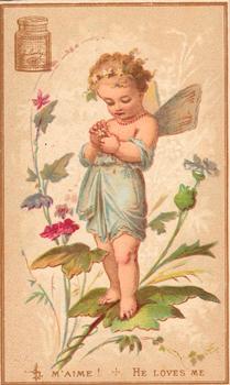 1873 Liebig Jeux d'enfants (The Flower Oracle) (French Text) (F49, S49) #NNO He Loves Me Front