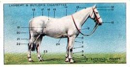 1994 1938 Imperial Publishing Lambert & Butler Horsemanship Reprint #1 External points of the horse Front
