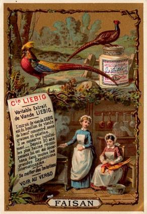 1887 Liebig Animaux de boucherie (Preparation of Food) (French text) (F174, S193) #NNO Pheasant Front