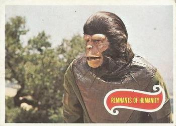 1975 Scanlens Planet of the Apes #8 Remnants of Humanity Front