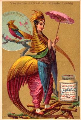 1883 Liebig Oiseaux - femmes (Bird Woman II) (French text) (F126, S165) #NNO Pheasant Front