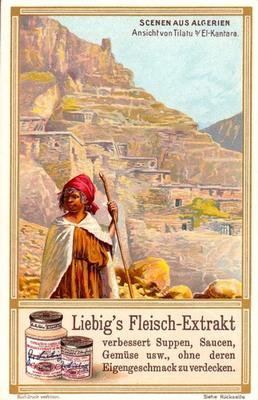 1911 Liebig Scenen aus Algerien (Picturesque Algeria) (German text) (F1011, S1012) #NNO View of Tilatou Front