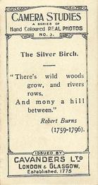 1926 Cavanders Camera Studies (Small) #3 The Silver Birch Back