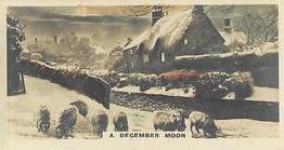 1926 Cavanders Camera Studies (Small) #13 A December Moon Front