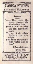 1926 Cavanders Camera Studies (Small) #15 Swans Back