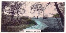 1926 Cavanders Camera Studies (Small) #20 Casual Water Front