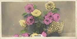1926 Cavanders Camera Studies (Small) #51 Roses Front