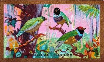 1926 Cavanders Foreign Birds #9 Gouldian Finches Front