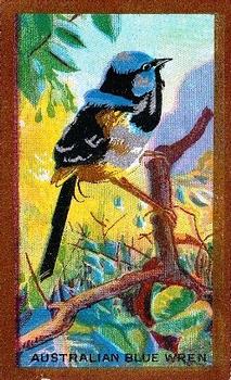 1926 Cavanders Foreign Birds #13 Australian Blue Wren Front