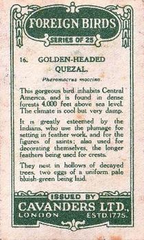 1926 Cavanders Foreign Birds #16 Golden Headed Quezal Back