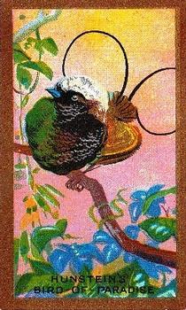 1926 Cavanders Foreign Birds #20 Hunstein's Bird-of-Paradise Front
