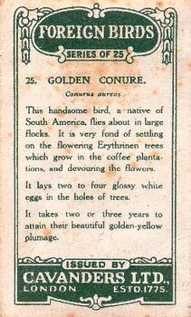 1926 Cavanders Foreign Birds #25 Golden Conure Back
