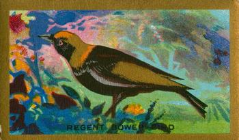 1926 Cavanders Feathered Friends #7 Regent Bower-Bird Front