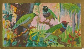 1926 Cavanders Feathered Friends #9 Gouldian Finches Front