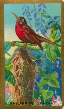 1926 Cavanders Feathered Friends #21 Philippine Sunbird Front