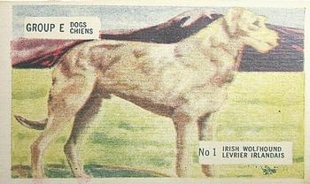 1947 Kellogg's Canada Pep Dogs #1 Irish Wolfhound Front