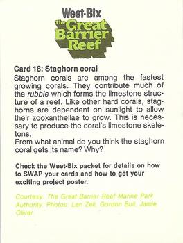 1983 Weet-Bix The Great Barrier Reef #18 Staghorn coral Back