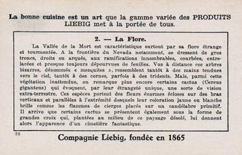 1940 Liebig La Valle de la Mort (Death Valley)(French Text)(F1421, S1424) #2 La Flore Back