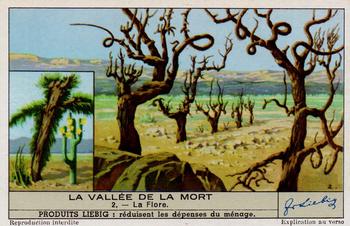 1940 Liebig La Valle de la Mort (Death Valley)(French Text)(F1421, S1424) #2 La Flore Front
