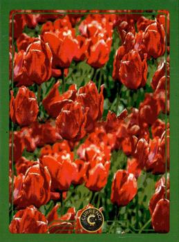 2022 Cardsmiths Currency Series 1 #25 Tulips Front